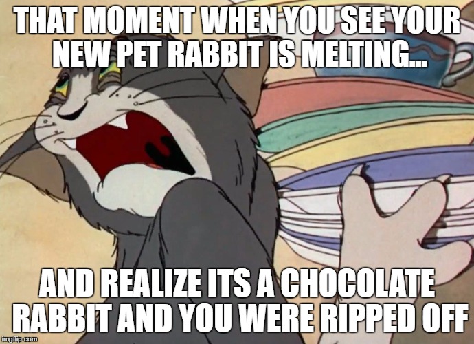 Tom That moment when | THAT MOMENT WHEN YOU SEE YOUR NEW PET RABBIT IS MELTING... AND REALIZE ITS A CHOCOLATE RABBIT AND YOU WERE RIPPED OFF | image tagged in tom that moment when | made w/ Imgflip meme maker