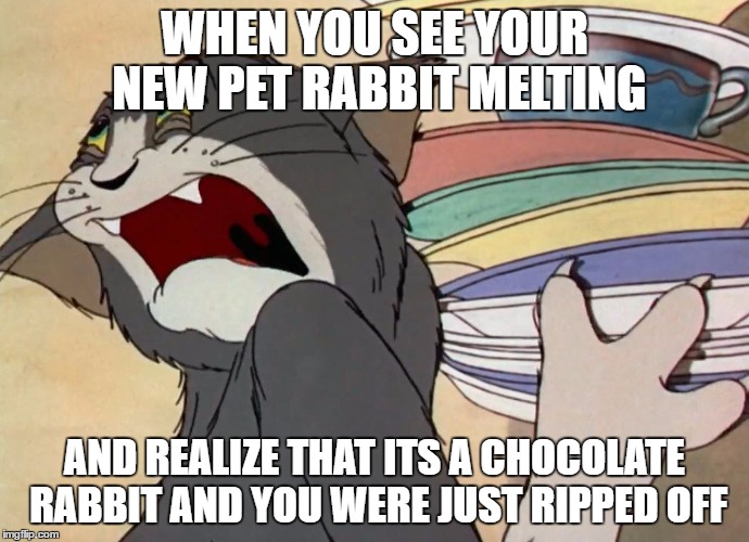 Tom That moment when | WHEN YOU SEE YOUR NEW PET RABBIT MELTING; AND REALIZE THAT ITS A CHOCOLATE RABBIT AND YOU WERE JUST RIPPED OFF | image tagged in tom that moment when | made w/ Imgflip meme maker