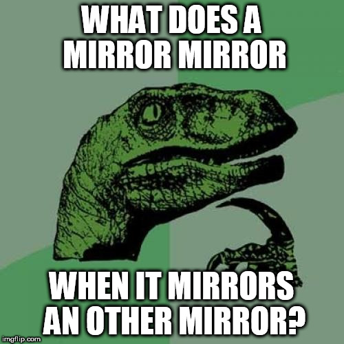 Philosoraptor Meme | WHAT DOES A MIRROR MIRROR; WHEN IT MIRRORS AN OTHER MIRROR? | image tagged in memes,philosoraptor | made w/ Imgflip meme maker