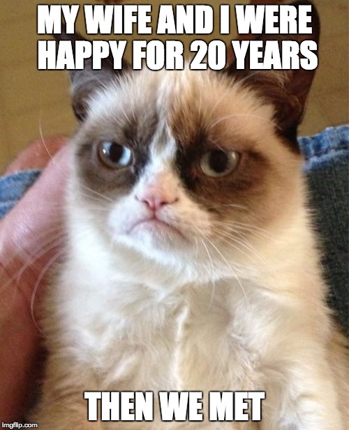 Grumpy Cat | MY WIFE AND I WERE HAPPY FOR 20 YEARS; THEN WE MET | image tagged in memes,grumpy cat | made w/ Imgflip meme maker