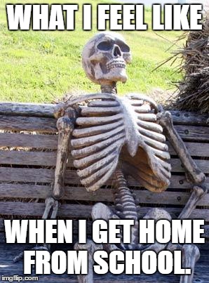 Waiting Skeleton Meme | WHAT I FEEL LIKE; WHEN I GET HOME FROM SCHOOL. | image tagged in memes,waiting skeleton | made w/ Imgflip meme maker