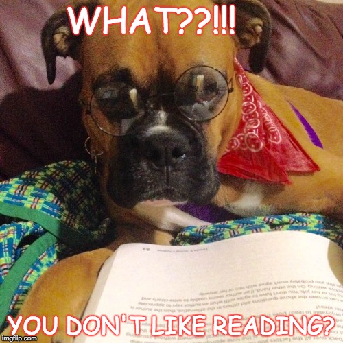 WHAT??!!! YOU DON'T LIKE READING? | image tagged in apollo | made w/ Imgflip meme maker