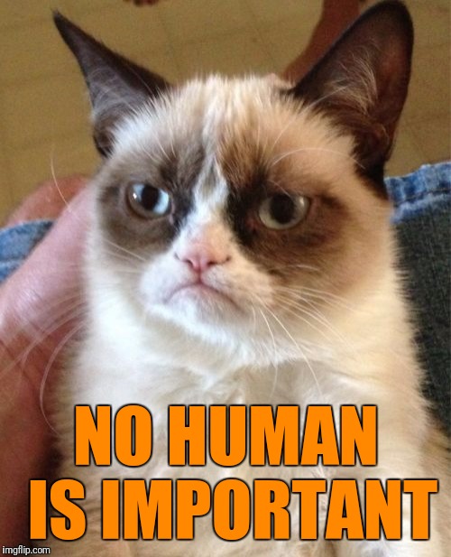 Grumpy Cat Meme | NO HUMAN IS IMPORTANT | image tagged in memes,grumpy cat | made w/ Imgflip meme maker