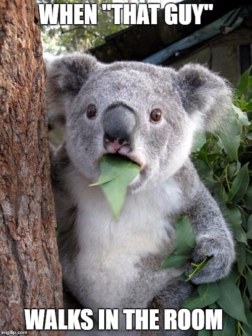 Surprised Koala Meme | WHEN "THAT GUY"; WALKS IN THE ROOM | image tagged in memes,surprised koala | made w/ Imgflip meme maker