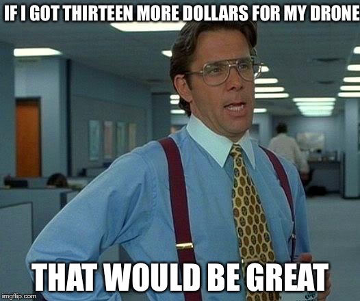 Donate at Brenden.mclemore@student.csd509j.net! (Gmail) | IF I GOT THIRTEEN MORE DOLLARS FOR MY DRONE; THAT WOULD BE GREAT | image tagged in memes,that would be great | made w/ Imgflip meme maker