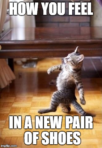 Cool Cat Stroll Meme | HOW YOU FEEL; IN A NEW PAIR OF SHOES | image tagged in memes,cool cat stroll | made w/ Imgflip meme maker