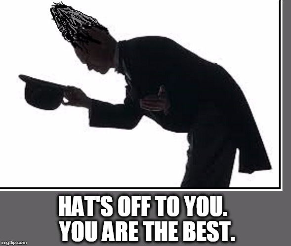 Hats Off to You | HAT'S OFF TO YOU.  YOU ARE THE BEST. | image tagged in vince vance,tall hair,kudos,congratulations,memes,meme | made w/ Imgflip meme maker