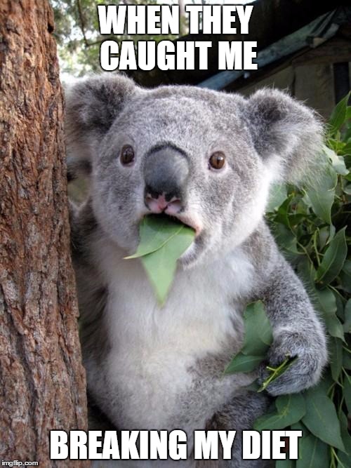 Surprised Koala Meme | WHEN THEY CAUGHT ME; BREAKING MY DIET | image tagged in memes,surprised koala | made w/ Imgflip meme maker