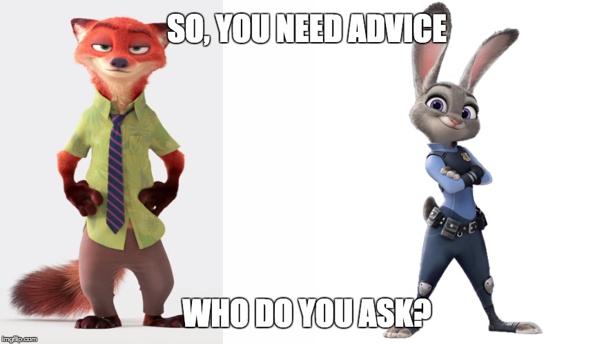 Asking Real Questions | SO, YOU NEED ADVICE; WHO DO YOU ASK? | image tagged in zootopia,judy hopps,nick wilde,zootopia meme,questions | made w/ Imgflip meme maker