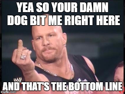 Stone Cold Finger | YEA SO YOUR DAMN DOG BIT ME RIGHT HERE; AND THAT'S THE BOTTOM LINE | image tagged in stone cold finger | made w/ Imgflip meme maker