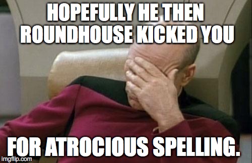 Captain Picard Facepalm Meme | HOPEFULLY HE THEN ROUNDHOUSE KICKED YOU FOR ATROCIOUS SPELLING. | image tagged in memes,captain picard facepalm | made w/ Imgflip meme maker