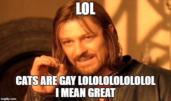 One Does Not Simply | LOL; CATS ARE GAY LOLOLOLOLOLOLOL I MEAN GREAT | image tagged in memes,one does not simply | made w/ Imgflip meme maker