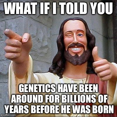 Jesus | WHAT IF I TOLD YOU GENETICS HAVE BEEN AROUND FOR BILLIONS OF YEARS BEFORE HE WAS BORN | image tagged in jesus | made w/ Imgflip meme maker
