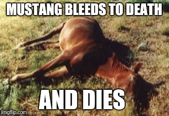 MUSTANG BLEEDS TO DEATH AND DIES | made w/ Imgflip meme maker