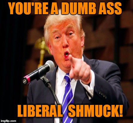 YOU'RE A DUMB ASS LIBERAL  SHMUCK! | made w/ Imgflip meme maker