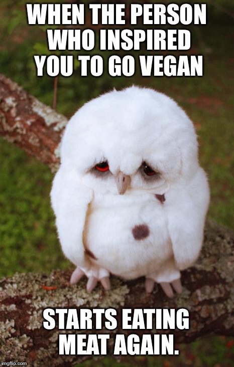 sad owl | WHEN THE PERSON WHO INSPIRED YOU TO GO VEGAN; STARTS EATING MEAT AGAIN. | image tagged in sad owl | made w/ Imgflip meme maker