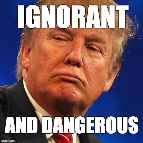 The republican president is ignorant and dangerous. | IGNORANT; AND DANGEROUS | image tagged in ignorant,dangerous,potus45,donald trump,trump,maga | made w/ Imgflip meme maker