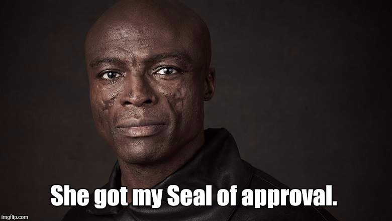 Seal | She got my Seal of approval. | image tagged in seal | made w/ Imgflip meme maker