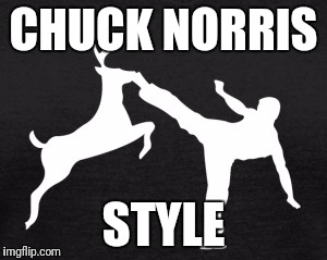 Venison anyone? It cooks immediately from the heat of his kick.  | CHUCK NORRIS; STYLE | image tagged in chuck norris,hunting,deer | made w/ Imgflip meme maker