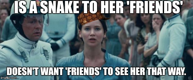 You only get it once you read the books.
 | IS A SNAKE TO HER 'FRIENDS'; DOESN'T WANT 'FRIENDS' TO SEE HER THAT WAY. | image tagged in katniss,scumbag | made w/ Imgflip meme maker
