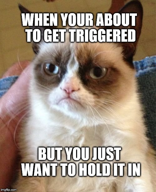 Grumpy Cat | WHEN YOUR ABOUT TO GET TRIGGERED; BUT YOU JUST WANT TO HOLD IT IN | image tagged in memes,grumpy cat | made w/ Imgflip meme maker