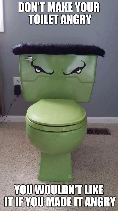 Go easy on chili dogs with garlic and sauerkraut! Comic Book Character Week! | DON'T MAKE YOUR TOILET ANGRY; YOU WOULDN'T LIKE IT IF YOU MADE IT ANGRY | image tagged in comic book week,the incredible hulk,toilet,anger | made w/ Imgflip meme maker