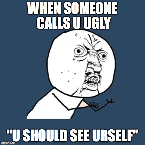 Y U No | WHEN SOMEONE CALLS U UGLY; "U SHOULD SEE URSELF" | image tagged in memes,y u no | made w/ Imgflip meme maker