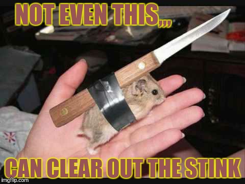 Lock and Load Hamster | NOT EVEN THIS,,, CAN CLEAR OUT THE STINK | image tagged in lock and load hamster | made w/ Imgflip meme maker
