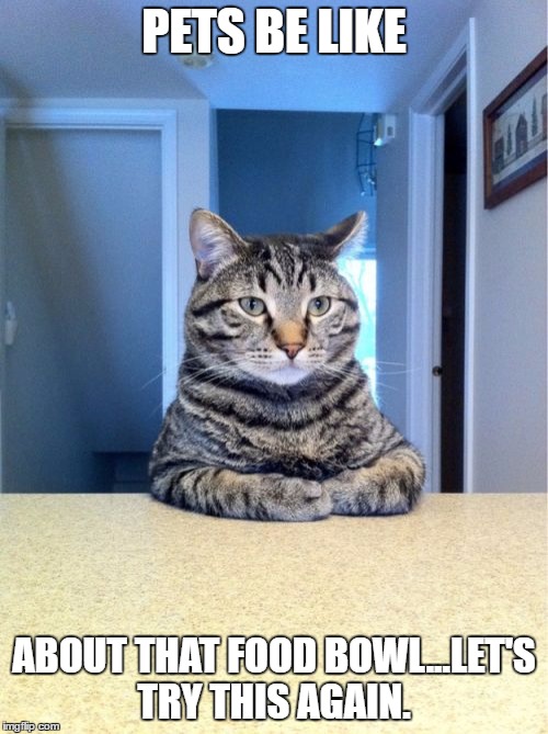Take A Seat Cat | PETS BE LIKE; ABOUT THAT FOOD BOWL...LET'S TRY THIS AGAIN. | image tagged in memes,take a seat cat | made w/ Imgflip meme maker