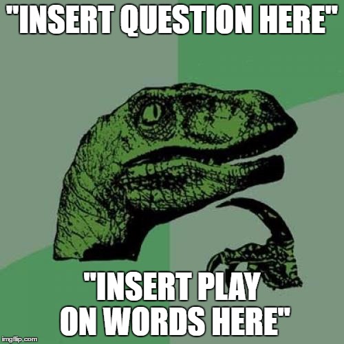 Philosoraptor | "INSERT QUESTION HERE"; "INSERT PLAY ON WORDS HERE" | image tagged in memes,philosoraptor | made w/ Imgflip meme maker