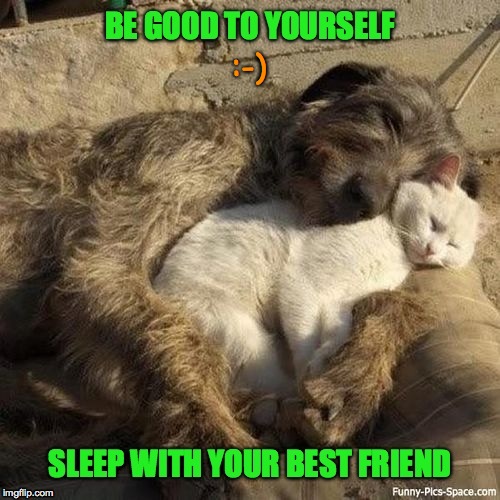 Best Friends | :-) | image tagged in snoozin' | made w/ Imgflip meme maker