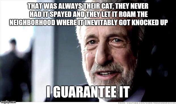 I Guarantee It Meme | THAT WAS ALWAYS THEIR CAT, THEY NEVER HAD IT SPAYED
AND THEY LET IT ROAM THE NEIGHBORHOOD WHERE IT INEVITABLY GOT KNOCKED UP; I GUARANTEE IT | image tagged in memes,i guarantee it | made w/ Imgflip meme maker