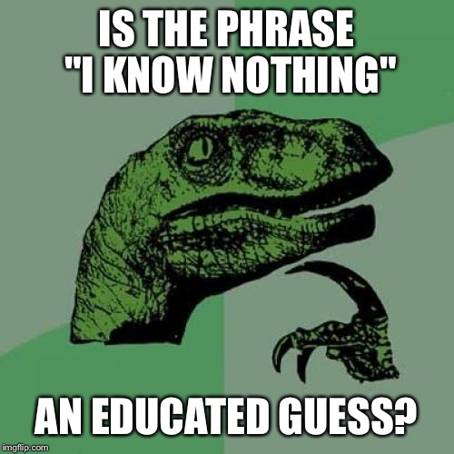 Philosoraptor | IS THE PHRASE "I KNOW NOTHING"; AN EDUCATED GUESS? | image tagged in memes,philosoraptor | made w/ Imgflip meme maker