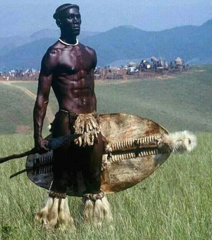 High Quality Shaka Blank Meme Template