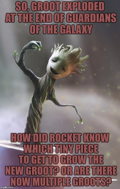 Groot | SO, GROOT EXPLODED AT THE END OF GUARDIANS OF THE GALAXY; HOW DID ROCKET KNOW WHICH TINY PIECE TO GET TO GROW THE NEW GROOT? OR ARE THERE NOW MULTIPLE GROOTS? | image tagged in groot | made w/ Imgflip meme maker