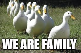 WE ARE FAMILY | image tagged in we,are,family | made w/ Imgflip meme maker