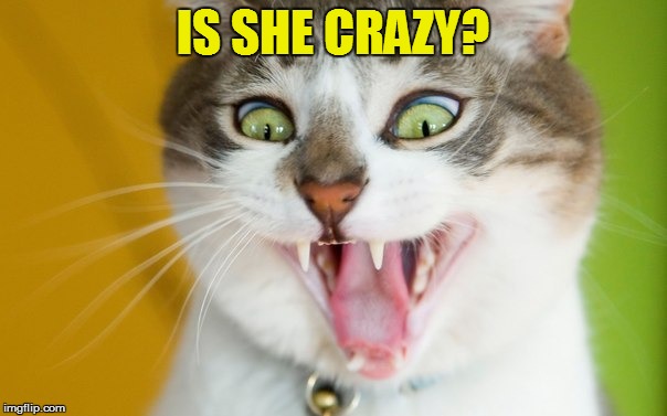 IS SHE CRAZY? | made w/ Imgflip meme maker