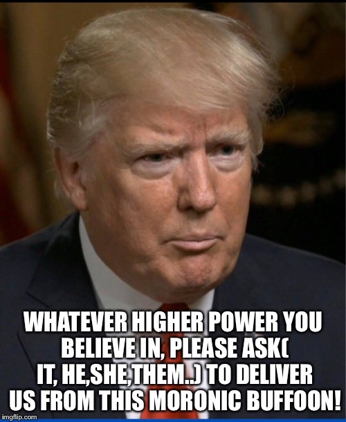 Moronic Buffoon  | WHATEVER HIGHER POWER YOU BELIEVE IN, PLEASE ASK( IT, HE,SHE,THEM..) TO DELIVER US FROM THIS MORONIC BUFFOON! | image tagged in donald trump,moron,buffoon | made w/ Imgflip meme maker