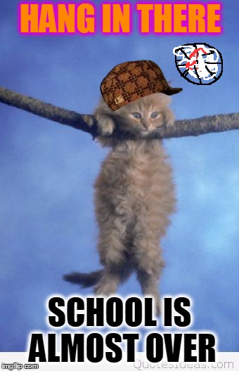 Hang in there | HANG IN THERE; SCHOOL IS ALMOST OVER | image tagged in hang in there,scumbag | made w/ Imgflip meme maker