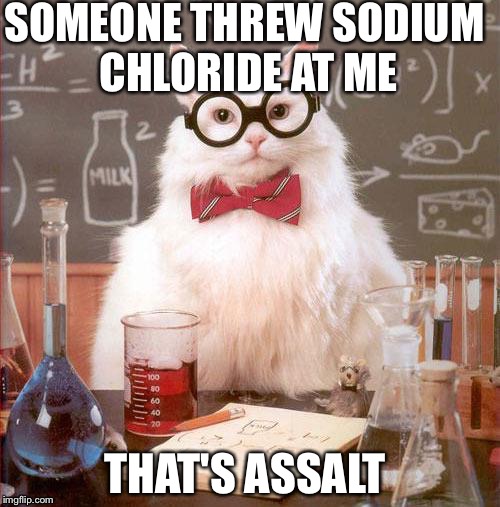 Science Cat | SOMEONE THREW SODIUM CHLORIDE AT ME; THAT'S ASSALT | image tagged in science cat | made w/ Imgflip meme maker