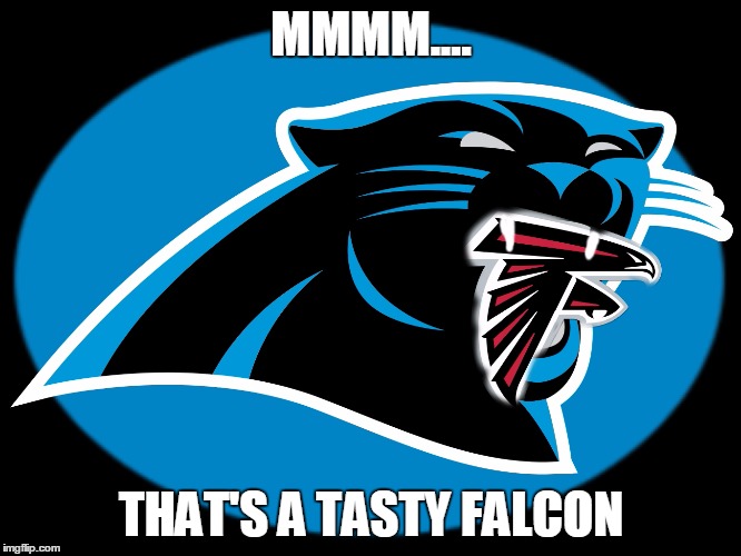 Carolina Panthers Falcons | MMMM.... THAT'S A TASTY FALCON | image tagged in carolina panthers falcons | made w/ Imgflip meme maker