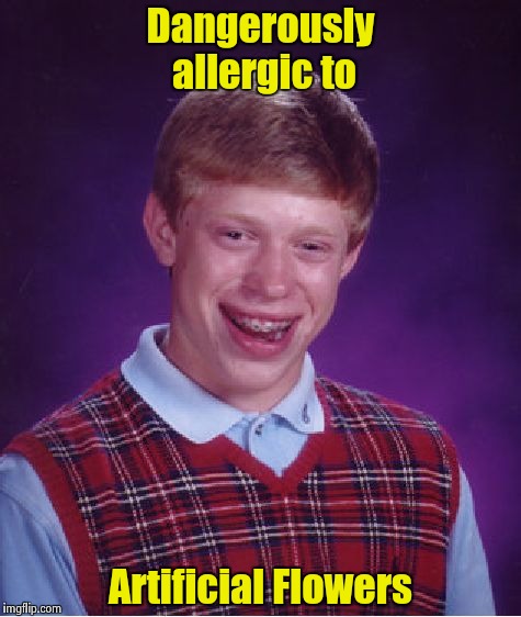 Bad Luck Brian Meme | Dangerously allergic to; Artificial Flowers | image tagged in memes,bad luck brian | made w/ Imgflip meme maker