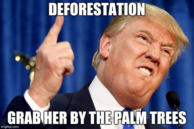 Donald Trump | DEFORESTATION; GRAB HER BY THE PALM TREES | image tagged in donald trump | made w/ Imgflip meme maker