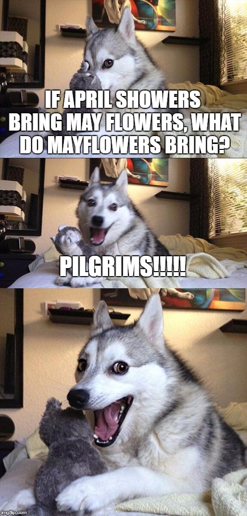 Bad Pun Dog Meme | IF APRIL SHOWERS BRING MAY FLOWERS, WHAT DO MAYFLOWERS BRING? PILGRIMS!!!!! | image tagged in memes,bad pun dog | made w/ Imgflip meme maker