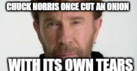 Chuck Norris week  | CHUCK NORRIS ONCE CUT AN ONION WITH ITS OWN TEARS | image tagged in memes,chuck norris week,chuck norris,funny | made w/ Imgflip meme maker
