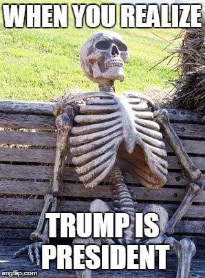 Waiting Skeleton | WHEN YOU REALIZE; TRUMP IS PRESIDENT | image tagged in memes,waiting skeleton | made w/ Imgflip meme maker