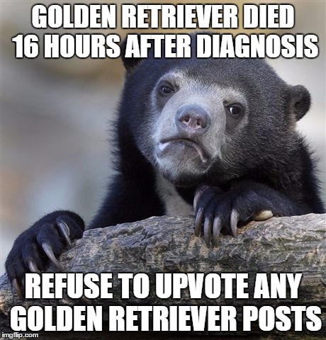 Confession Bear | GOLDEN RETRIEVER DIED 16 HOURS AFTER DIAGNOSIS; REFUSE TO UPVOTE ANY GOLDEN RETRIEVER POSTS | image tagged in memes,confession bear,AdviceAnimals | made w/ Imgflip meme maker
