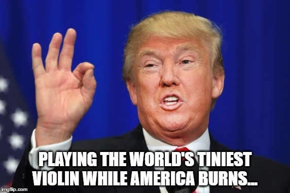 We don't need another Nero! | PLAYING THE WORLD'S TINIEST VIOLIN WHILE AMERICA BURNS... | image tagged in trump,humor | made w/ Imgflip meme maker