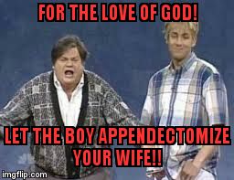 the herlihy boy | FOR THE LOVE OF GOD! LET THE BOY APPENDECTOMIZE YOUR WIFE!! | image tagged in the herlihy boy | made w/ Imgflip meme maker