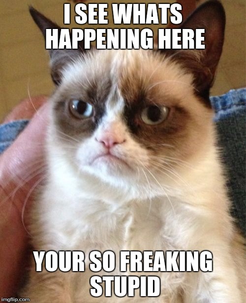 Grumpy Cat | I SEE WHATS HAPPENING HERE; YOUR SO FREAKING STUPID | image tagged in memes,grumpy cat | made w/ Imgflip meme maker